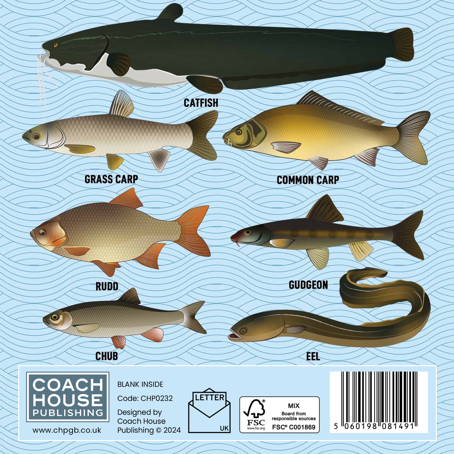 Coarse Fishing Greetings Card (150x150 blank)