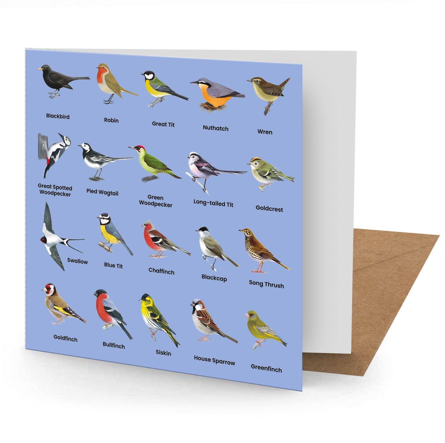 British Birds Greetings Card (150x150 Blank)