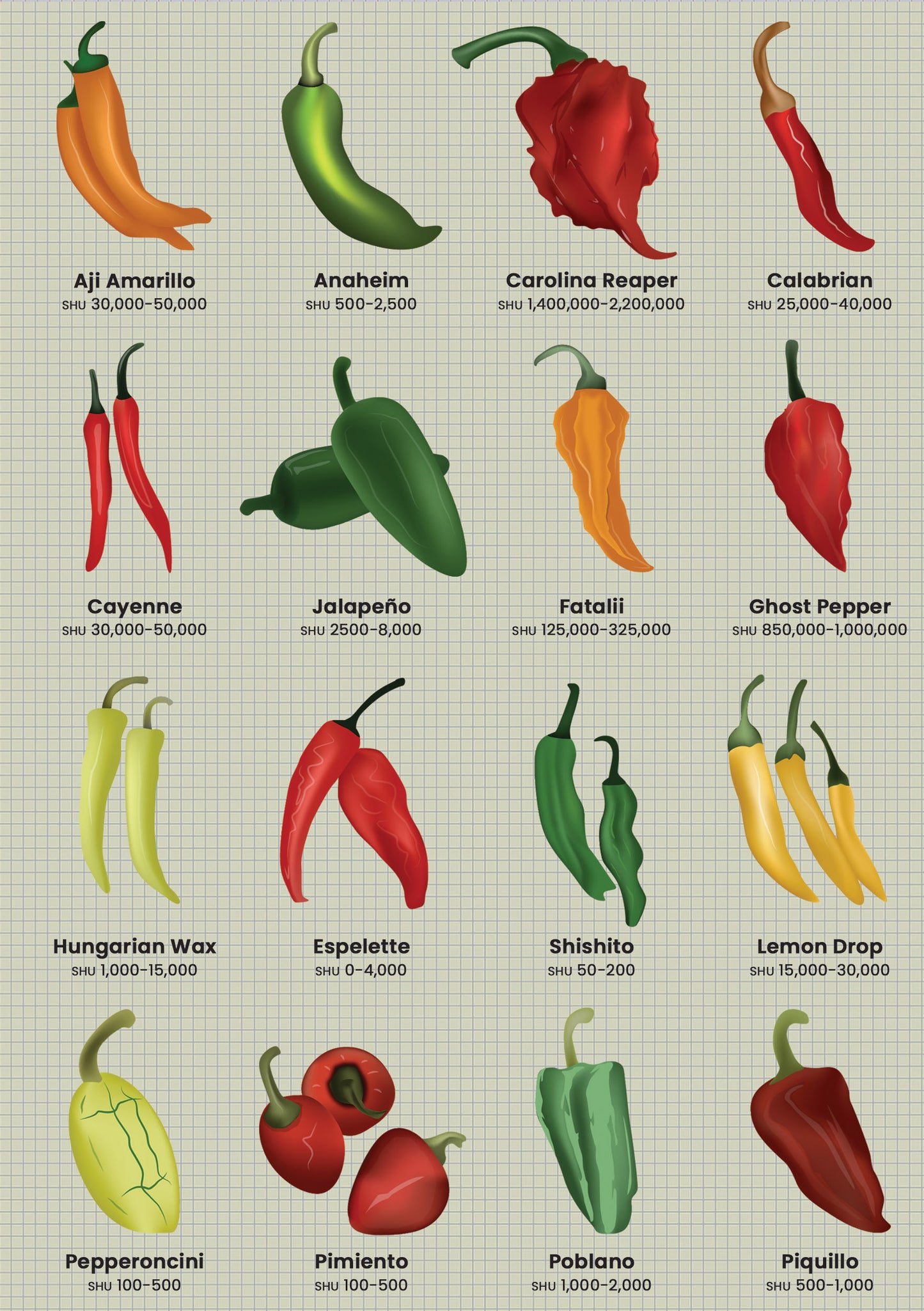 Chillies A5 Softback Notebook