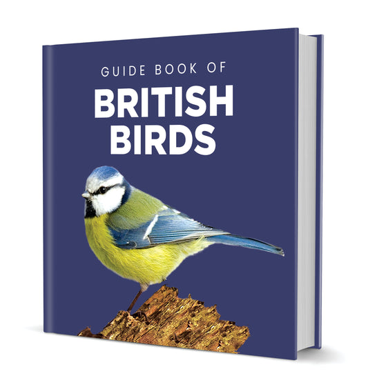 Guide Book to British Birds